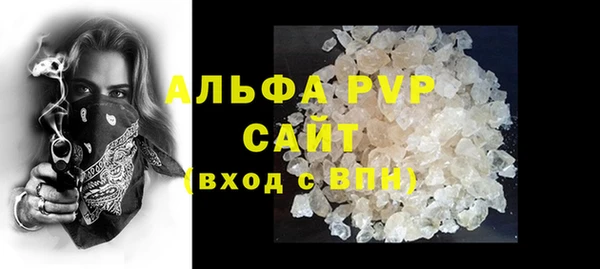 прущие грибы Вязьма