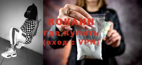 прущие грибы Вязьма