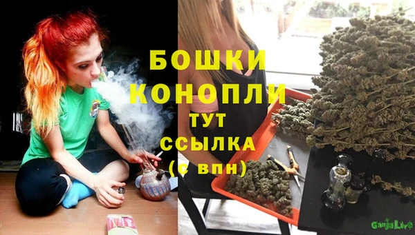 прущие грибы Вязьма