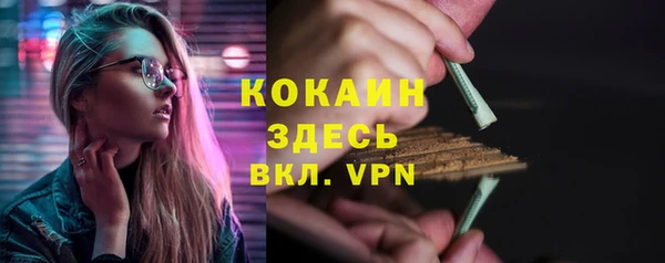 прущие грибы Вязьма
