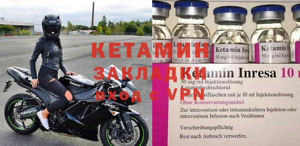 прущие грибы Вязьма