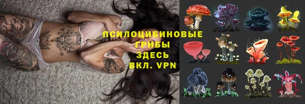 таблы Вяземский