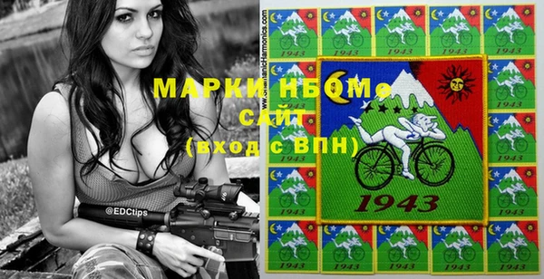 прущие грибы Вязьма