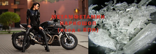прущие грибы Вязьма