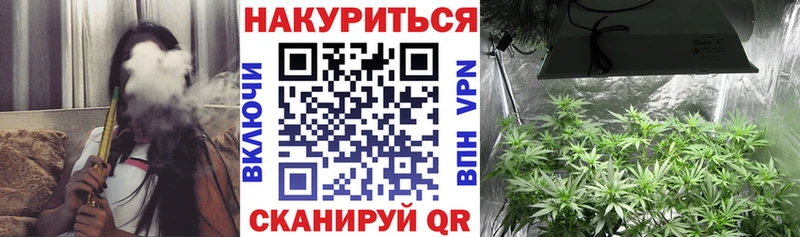 Каннабис план  Купить где  Белёв 